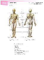 Sobotta Atlas of Human Anatomy  Head,Neck,Upper Limb Volume1 2006, page 13